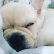 たかし【商品の状態の良さがウリ！】の画像