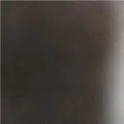 MEGの画像