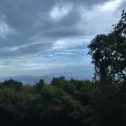 Yの画像