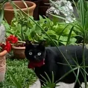 る〜の画像
