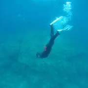 mi-skの画像
