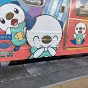 めの画像