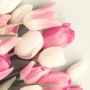 nの画像