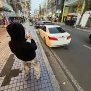 ゆ