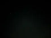 てんの画像