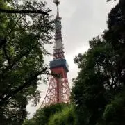 エコ 発電