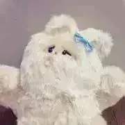 なっちゃんの画像