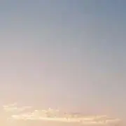 はなまるの画像