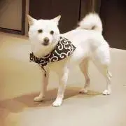 Ⓜ︎の画像