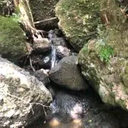 にょ