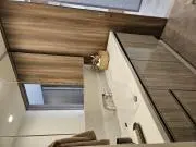 haoの画像