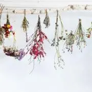 Tの画像