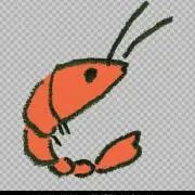 しまえびの画像
