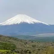 こばとの画像