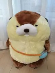 まーちゃんの画像