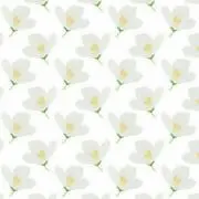 じゃすみんの画像