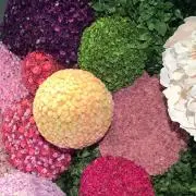 鈴の画像