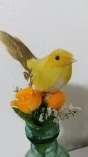 Kinomi♬*゜の画像