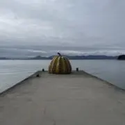 えびの画像