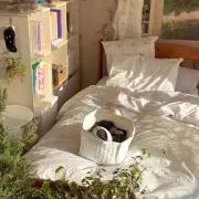 ふゆの画像