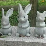 ソラの画像