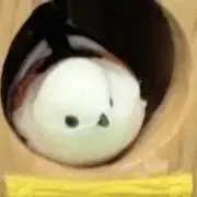 えながの画像