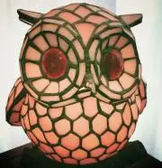 ピンクフクロウの画像