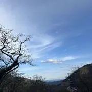 クロ