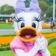 ありぺろの画像