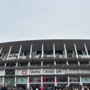 マリモッコリの画像