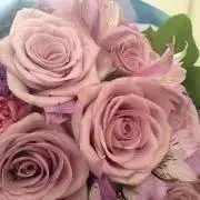 Maiの画像