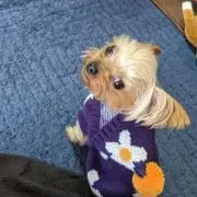 しーちゃん