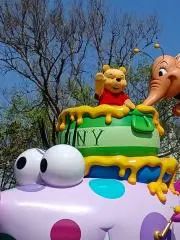 きょんの画像