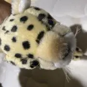 はっぱの画像