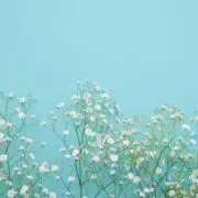 ONASUの画像