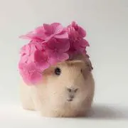ゆゆ♡丁寧な対応と梱包を心がけています♡