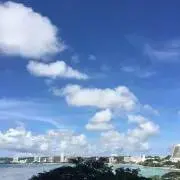 HACHIの画像