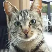 みつきの画像