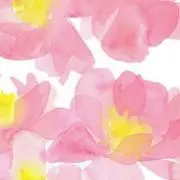 arinkoの画像