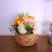 さくらこの画像