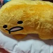 かおん