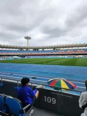 トキの画像