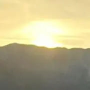 吉野家の画像