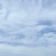 むみの画像
