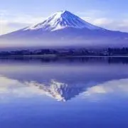 yuritamaの画像