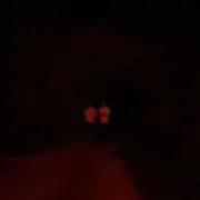 だいの画像