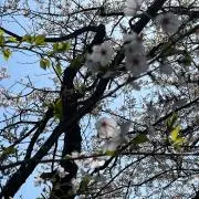 うなえもんの画像
