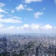 ふくの画像