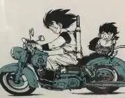 tacの画像