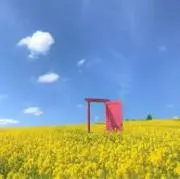 ＣＡＩの画像